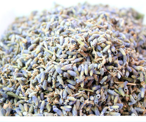 lavendel