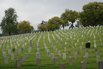 veteran cemetary