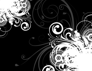 Floral abstraction for design.