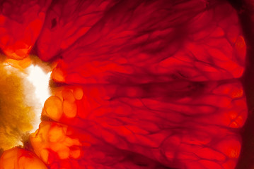 Blutorange
