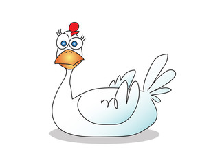 chicken isolated