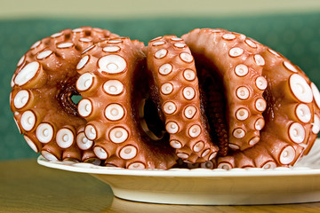 Octopus