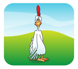 rooster