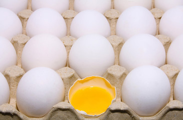 eggs white