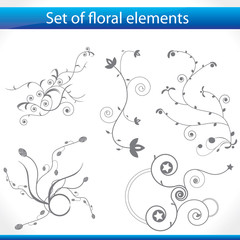 Set of floral elements for your artwork.