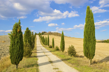 a typical Tuscan landscape in Italy with a villa and cypresses - 13004657