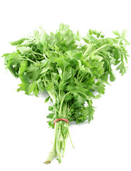 parsley