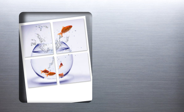 photomaton et aquarium
