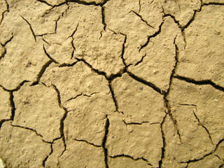 cracks are in earth