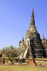 Fototapeta premium Wat Phra Si Sanphet in Ayutthaya, Thailand.