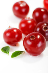 cranberries
