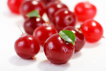 cranberries