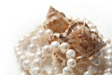 Beads from pearls and sea shell