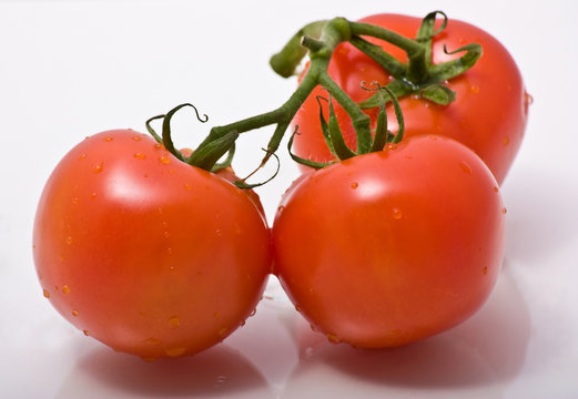 Strauchtomate