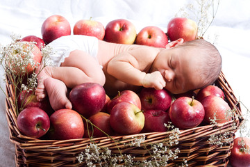 Baby in apples