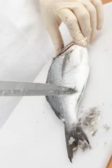 Foto auf Acrylglas Antireflex Fish cleaning © StockphotoVideo