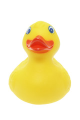 Rubber Duck