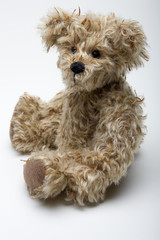Stuffed Toy Bear