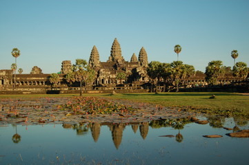 angkot wat