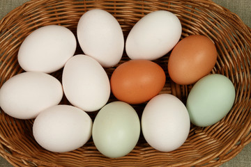 Eggs