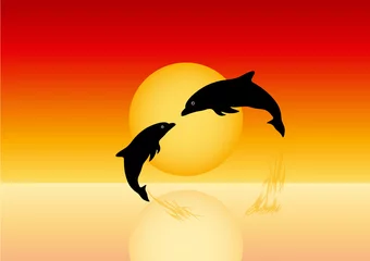 Muurstickers dolfijnen silhouet © mrtshnstock