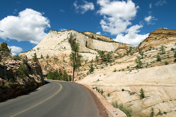 Road through Zion