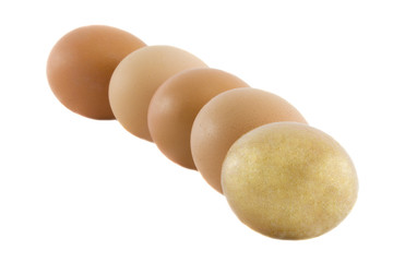 One golden and many ordinary fresh rural eggs isolated over whit