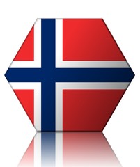 Fototapeta premium norvège drapeau hexagone norway flag