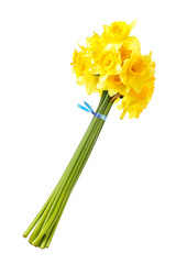 Bouquet of yellow daffodils