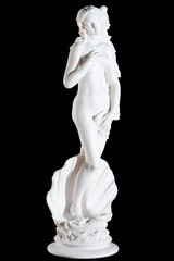 Classic white marble statue The Birth of Venus isolated