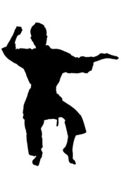 karate (vettoriale)
