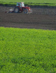 Fototapeta premium tracteur dans le champs