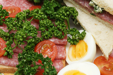 salami sandwich