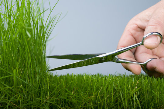 Scissor grass outlet