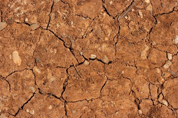 Soil