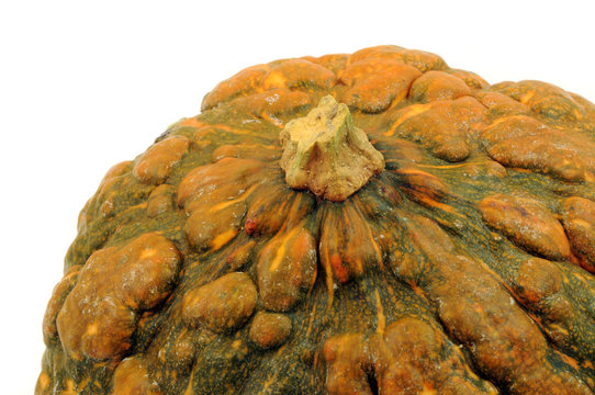 Zucca gialla