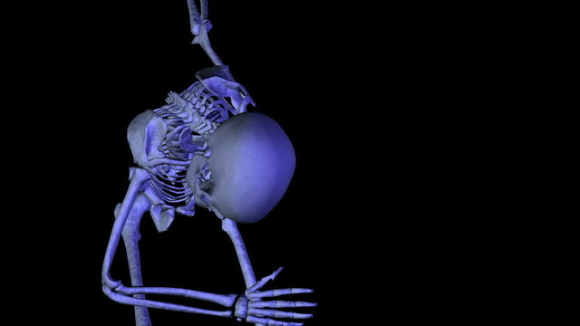 Skeleton classical dancing. CG. HD.