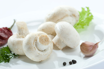 mushroom
