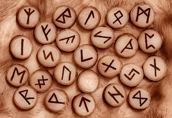 Runes on the fur - 13056676