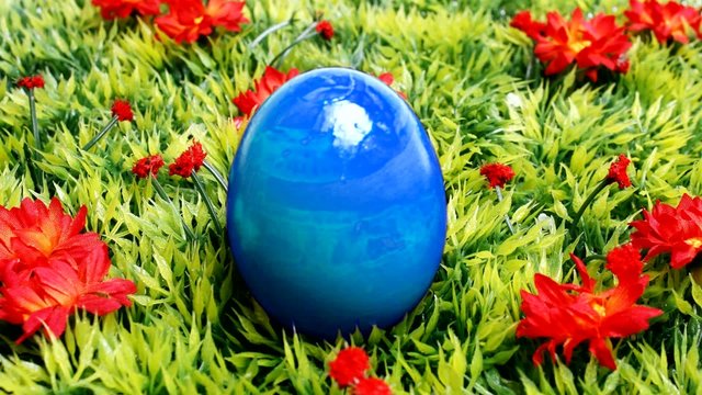 Ostern, Oster auf Wiese - Loop, Schleife
