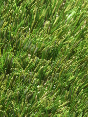 Artificial grass