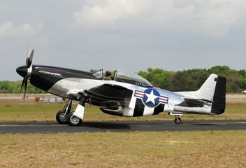 Old fighter
