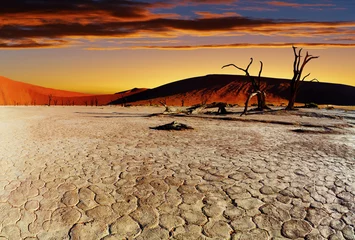 Foto op Canvas Namib Desert, Sossusvlei, Namibia © Dmitry Pichugin