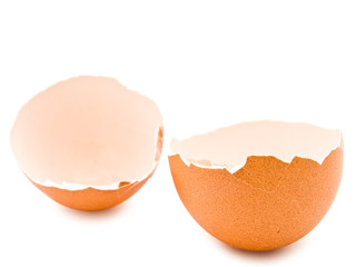 eggshell