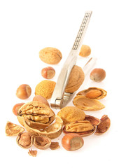 Verschiedene Nusssorten mit Knacker/various sorts of nuts