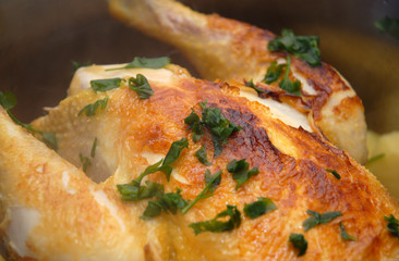 pollo asado