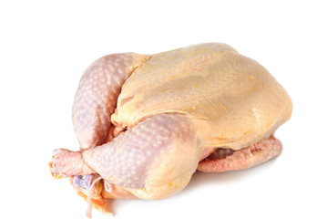 Whole raw chicken isolated on white