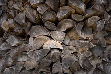 Firewood logs piled up in texture