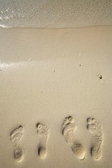 Fun footsteps