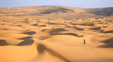 Fototapeta na wymiar Turysta w pustyni